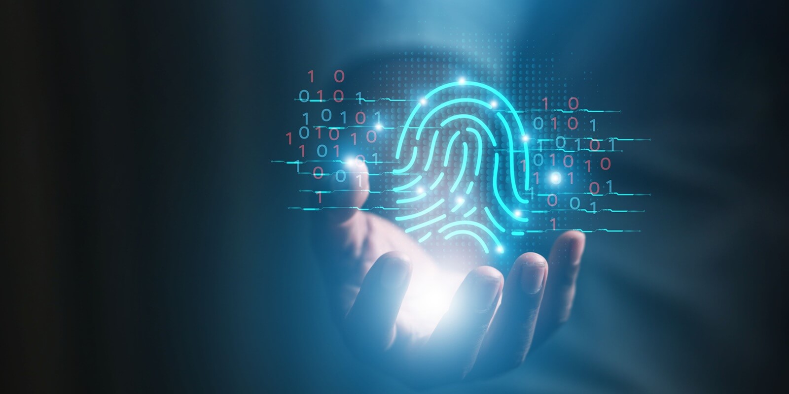 cybersecurity, data protection, access to private information on the Internet online