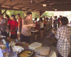 Picnic Food