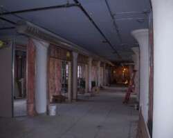 IMG_2431