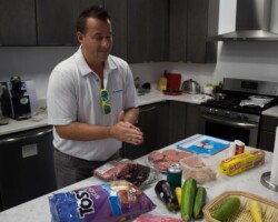 Office Picnic