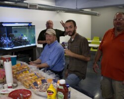 Office Picnic