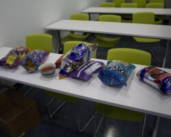Office Picnic