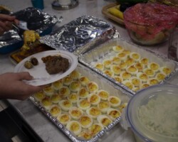 Office Picnic