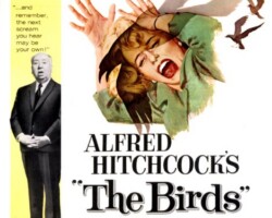 The Birds